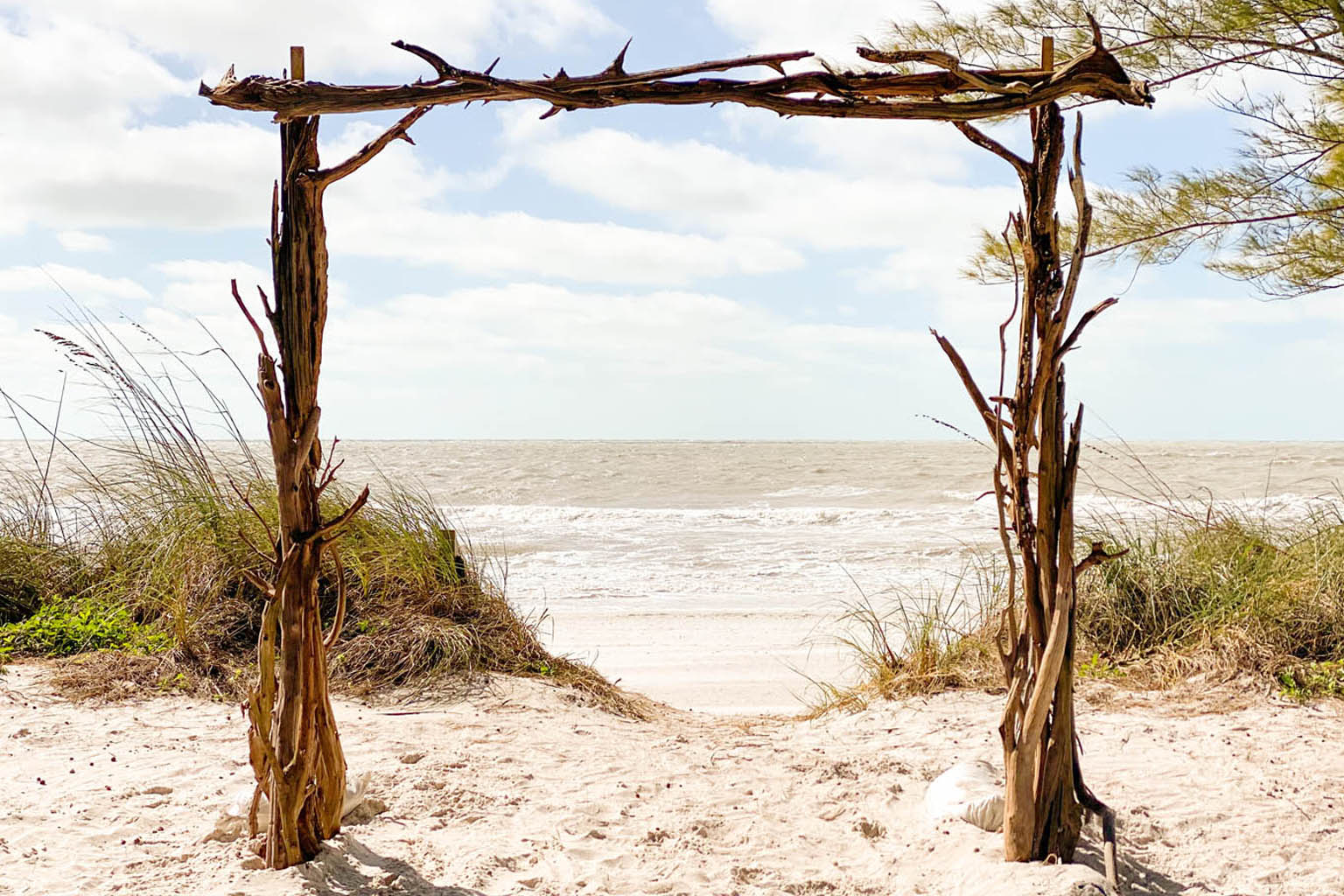 The Drifter - Natural Driftwood Arch